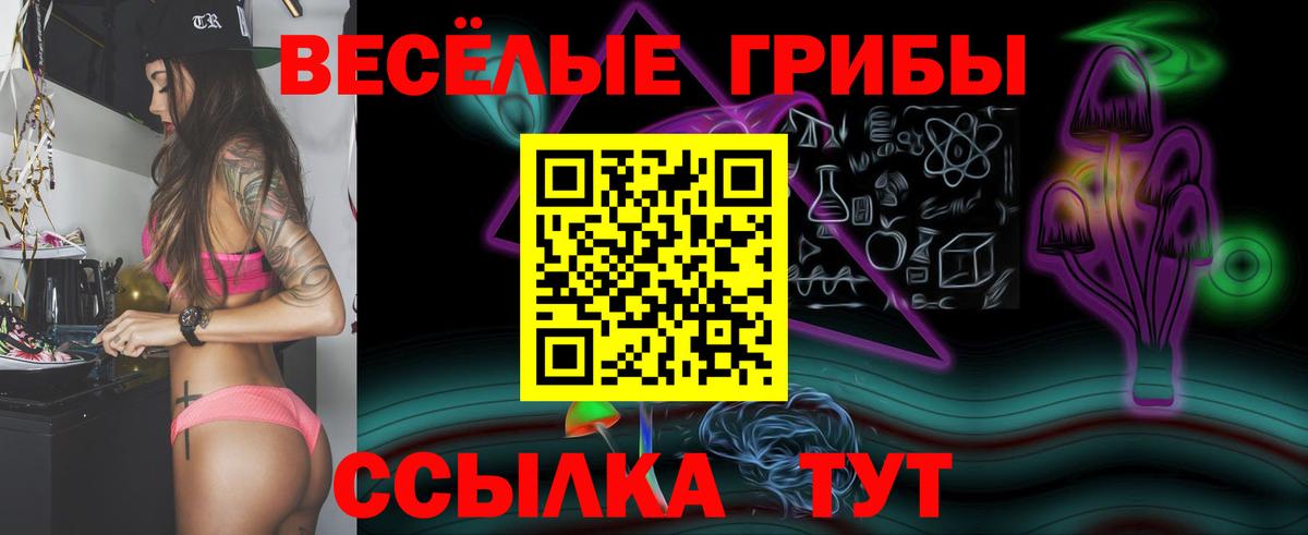 Галлюциногенные грибы Psilocybe  Вход с VPN  наркошоп  Галлюциногенные грибы MAGIC MUSHROOMS  Октябрьский 